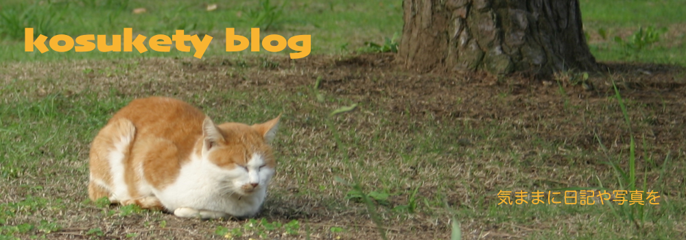 kosukety blog