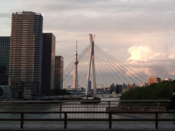 佃大橋から東京スカイツリーのトリミング画像