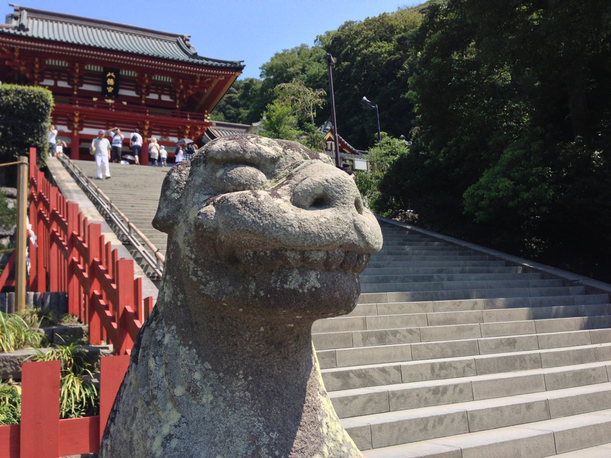 新品　DVD　自然の中の神々5　箱根神社　鶴岡八幡宮◆◆送料無料●● 新品 DVD 自然の中の神々5 箱根神社 鶴岡八幡宮◇◇送料無料