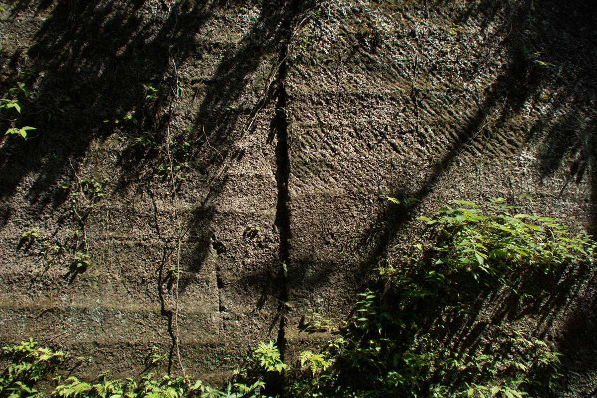 鋸山の壁
