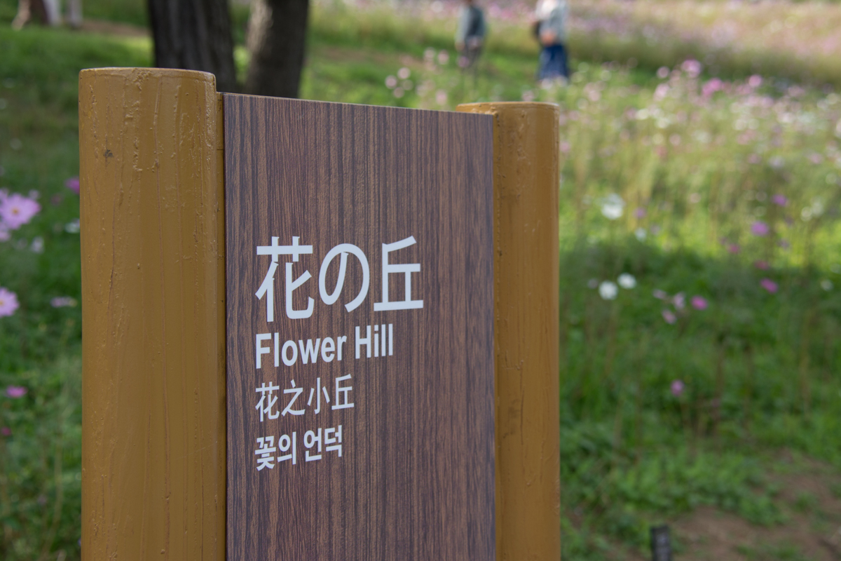 国営昭和記念公園の花の丘の看板